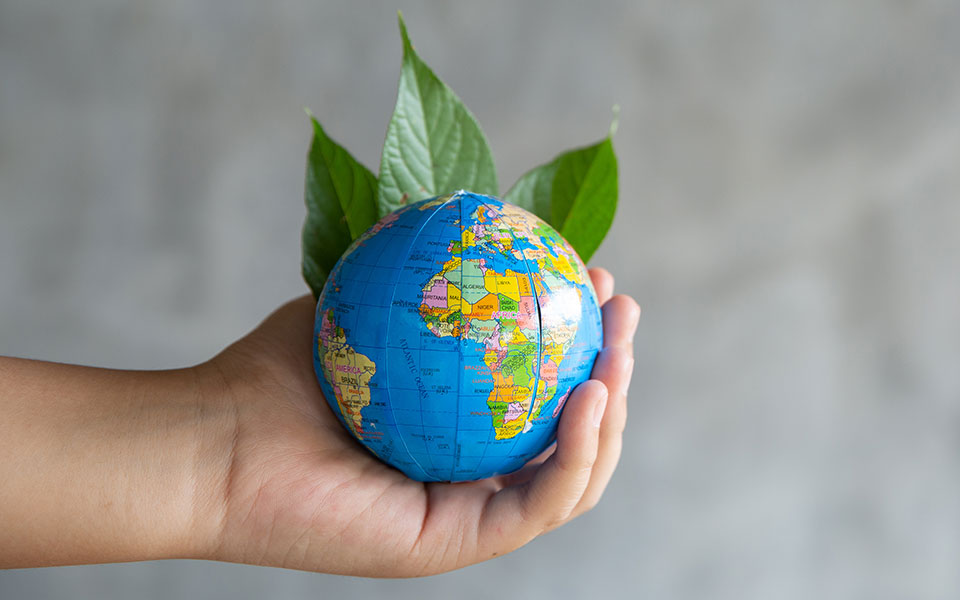 about us image template for building